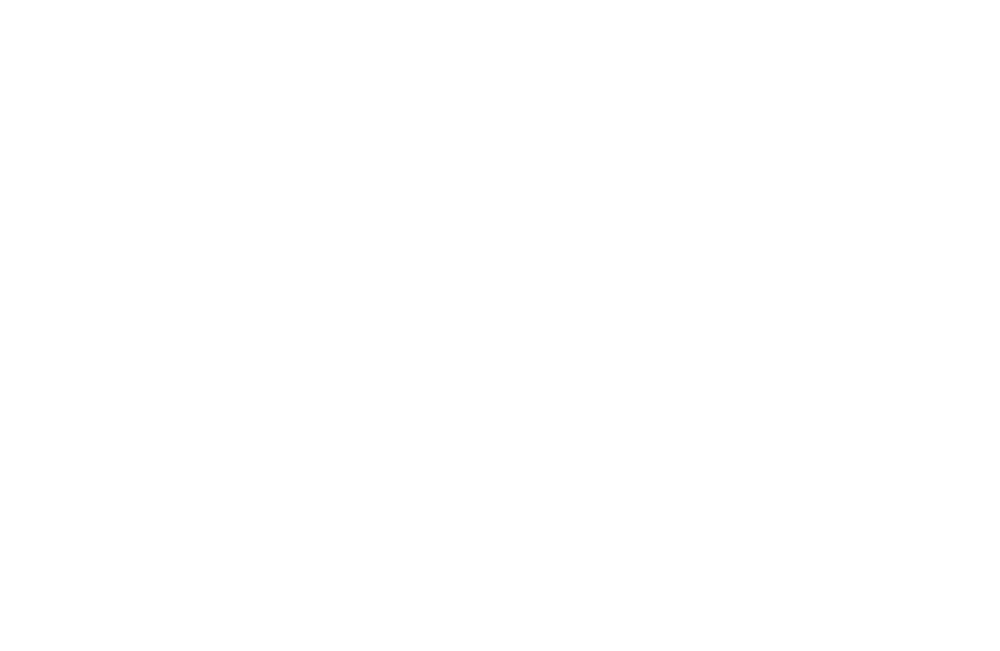 POS+基本形反転ロゴ(背景透過)